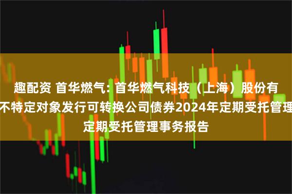 趣配资 首华燃气: 首华燃气科技（上海）股份有限公司向不特定对象发行可转换公司债券2024年定期受托管理事务报告
