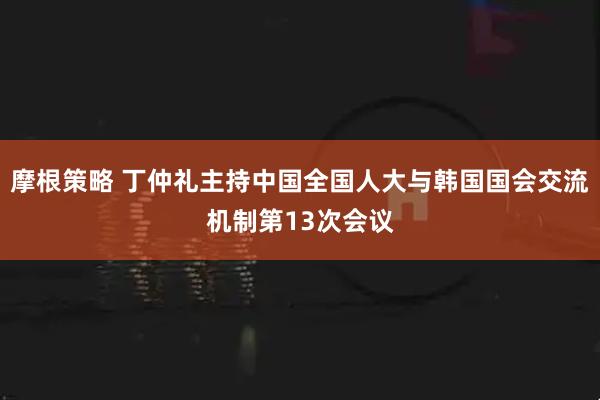 摩根策略 丁仲礼主持中国全国人大与韩国国会交流机制第13次会议